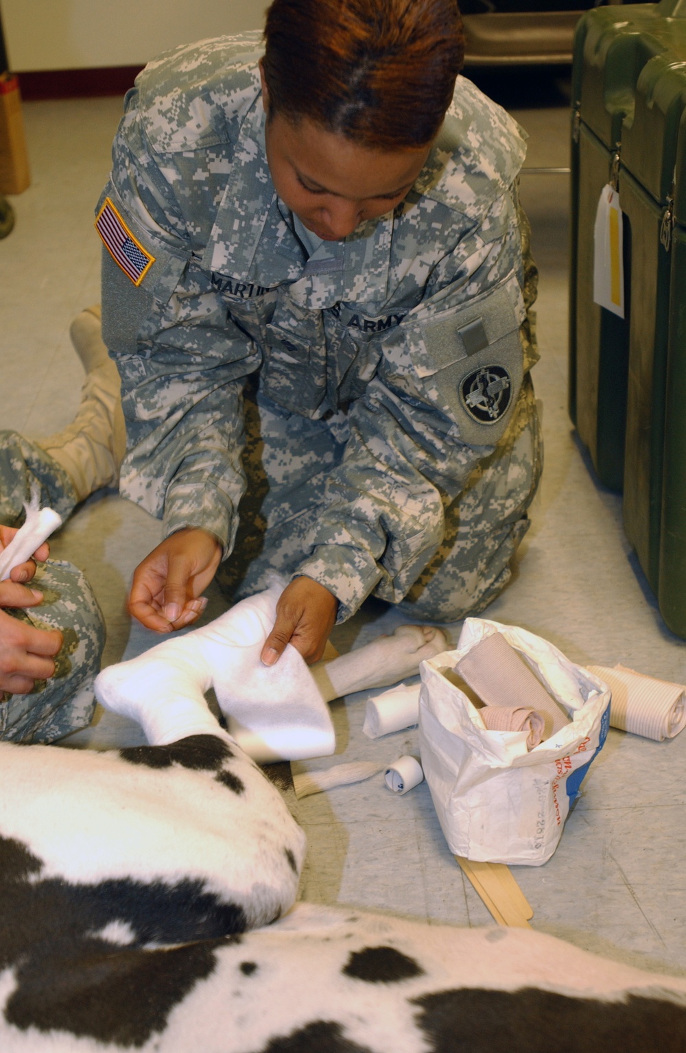 National Guard veterinarians keeps animals healthy