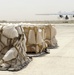 Iraqi air force airlift humanitarian aid to Najaf