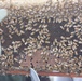 Agriculture Team's Training Creates Buzz in Afghanistan
