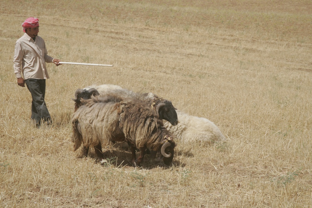 Marines conduct zone recon mission in Nineveh province