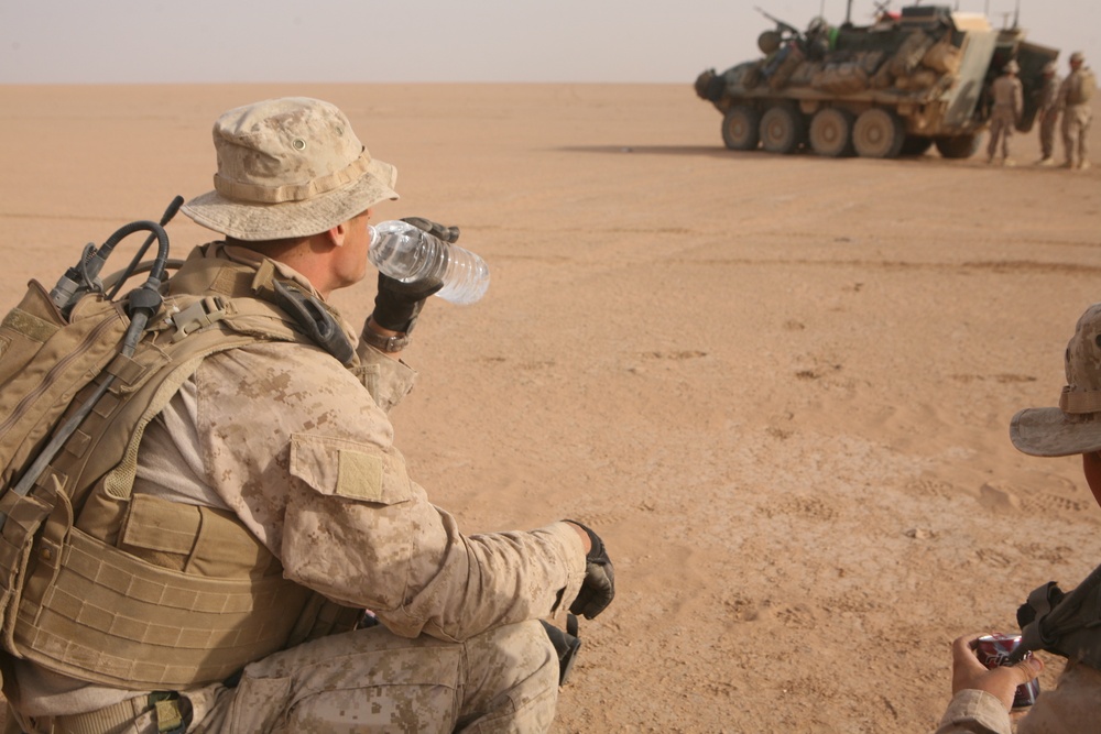 3rd Light Armored Reconnaissance Battalion Marines conduct Nineveh province patrol