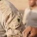 3rd Light Armored Reconnaissance Battalion Marines Conduct Nineveh Province Patrol