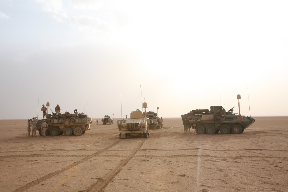 3rd Light Armored Reconnaissance Battalion Marines Conduct Nineveh Province Patrol