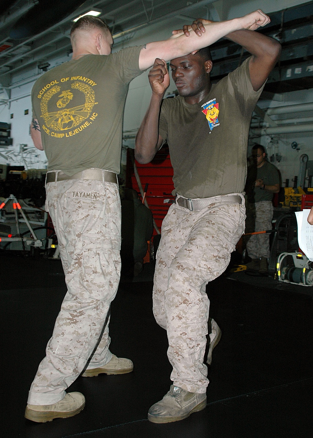 Marine Corps Martial Arts Program Training