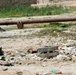 Soldiers Patrol Basra Streets