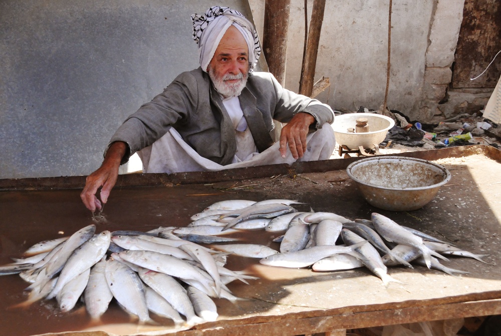 Warhorse Soldiers visit fish market, assess construction progress