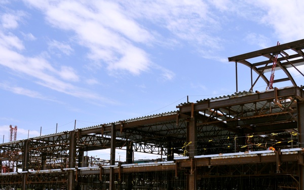 Bringing Alfie Back to the Presidio