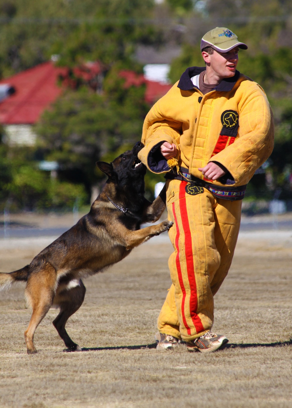 Australian MPs, Canines Ensure Safety During TS09
