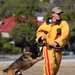 Australian MPs, Canines Ensure Safety During TS09