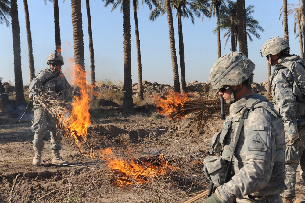 Soldiers conduct controlled burn