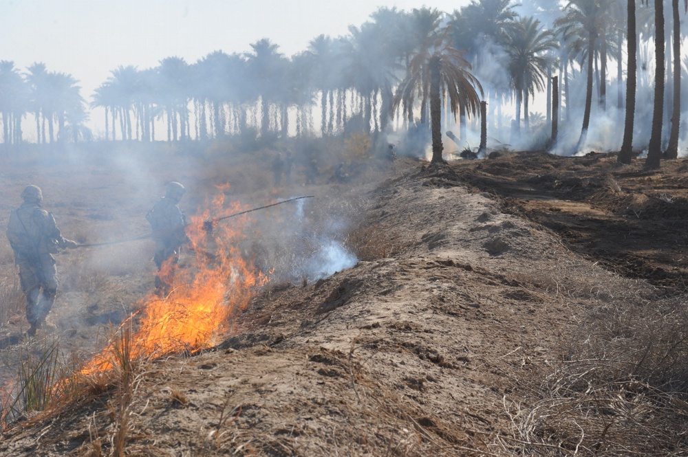 Soldiers conduct controlled burn