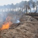 Soldiers conduct controlled burn