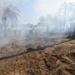 Soldiers conduct controlled burn