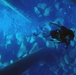 Navy divers conduct Infinite Response 09