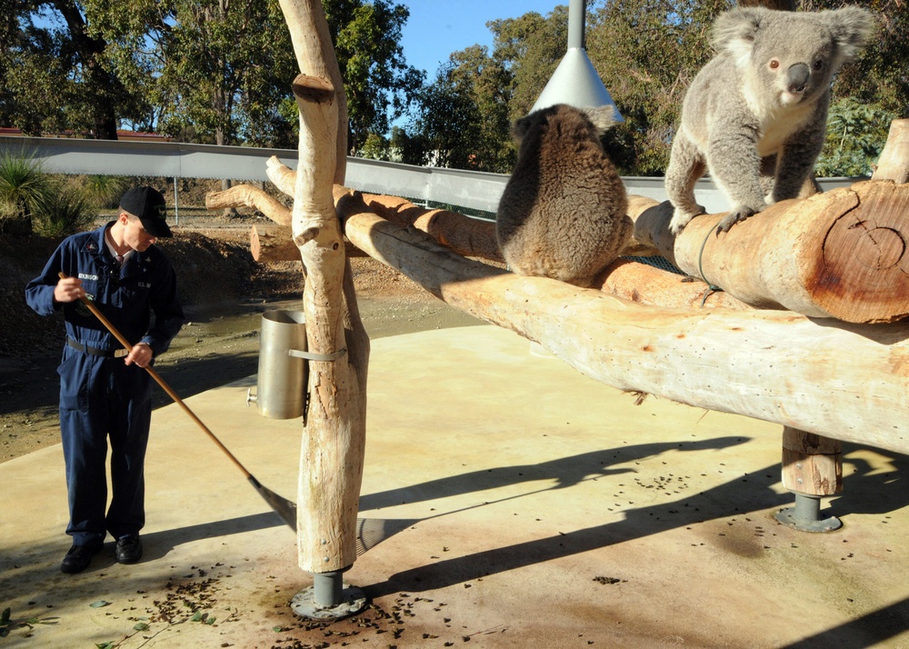 Community service project at Cohunu Koala Park