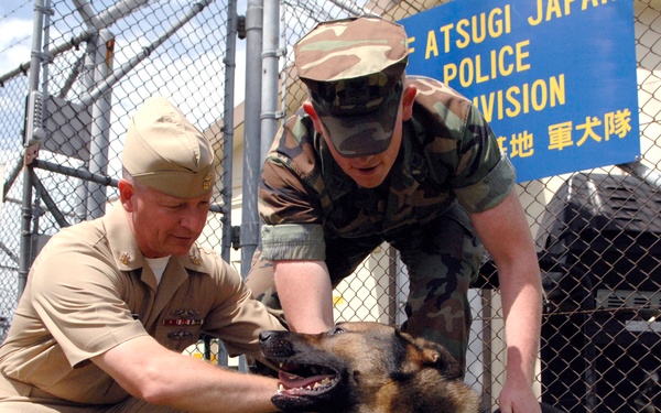 Two U.S. military personnel are interacting with a military working dog (K-9) outside the Police Division at Naval Air Facility Atsugi, Japan. One service member is in Navy dress khaki uniform and the other is in woodland camouflage BDUs. The German Shepherd-type dog is wearing a unit patch vest and yellow tag.