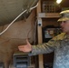 Signal company keeps Stryker Soldiers in touch with each other, the world