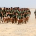 22nd MEU conducts theater security cooperation exercise