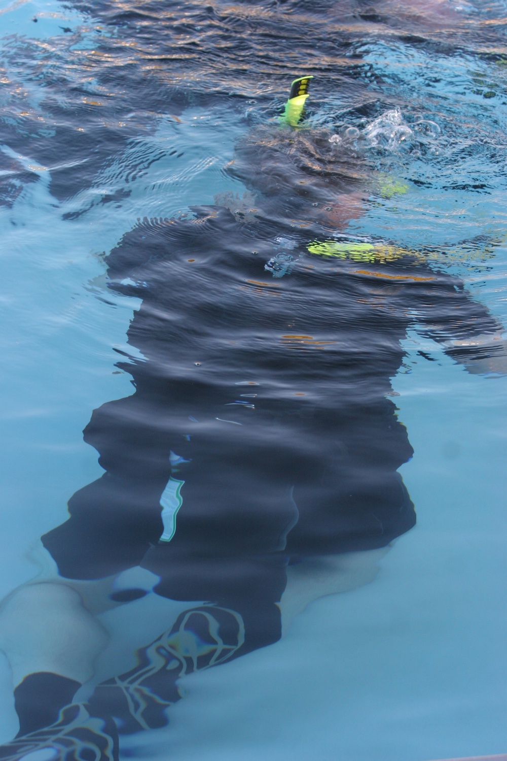 Retired Marine Teaches Scuba Diving Lessons