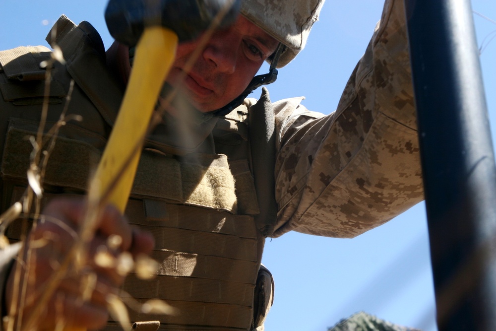 Comm. Co. transmits clear signal during field ops.