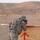 Greywolf Soldiers compete in grueling four day competition