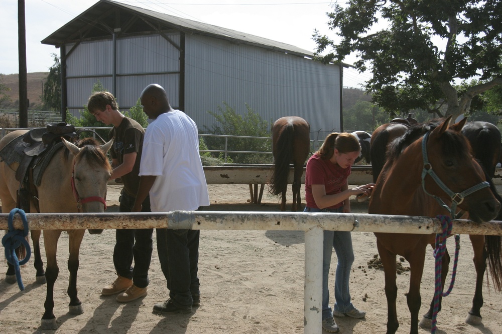 Horsing around: Volunteers lend helping hand at Stepp Stables