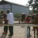 Horsing around: Volunteers lend helping hand at Stepp Stables