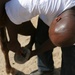 Horsing around: Volunteers lend helping hand at Stepp Stables