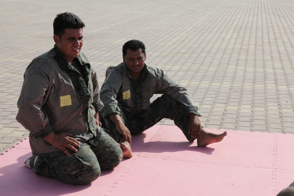 Soldiers teach combatives