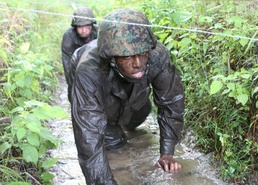 Endurance Course Puts 2nd MLG Marines to the Test