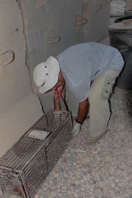 Preventative medicine more than meets the eye