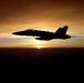 Strike Fighter Squadron 113 'Stingers' support Operation Enduring Freedom