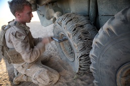 Wolfpack sees Operation Iraqi Freedom from start to finish