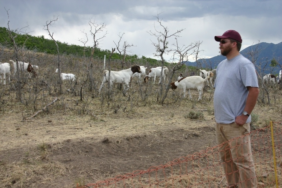 Utah Guard enlists the help of a few, good goats