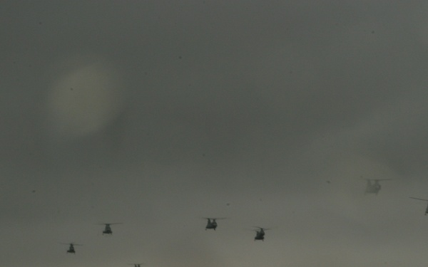 'Phrog' Celebrates 45 years