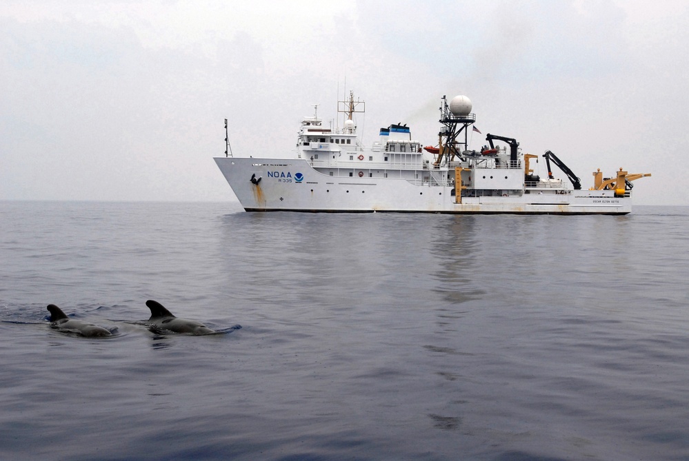 The Woods Hole Oceanographic Institution