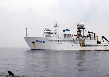 The Woods Hole Oceanographic Institution