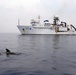The Woods Hole Oceanographic Institution