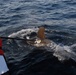 The Woods Hole Oceanographic Institution