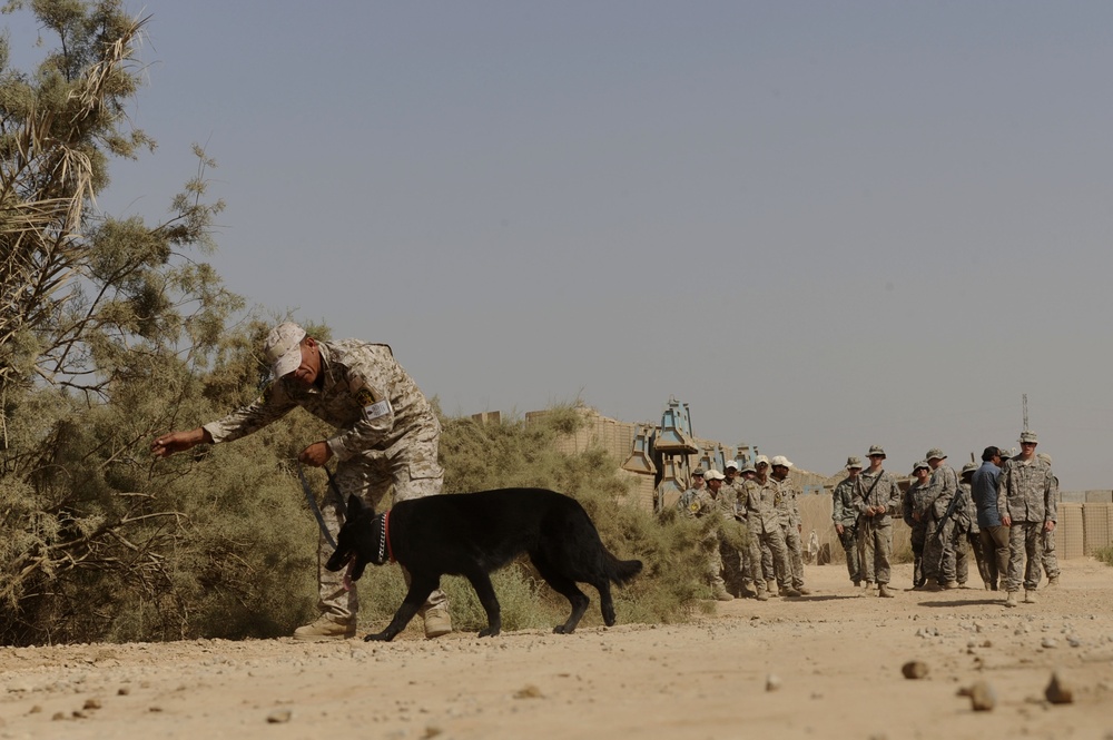 Joint K-9 Training