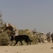 Joint K-9 Training
