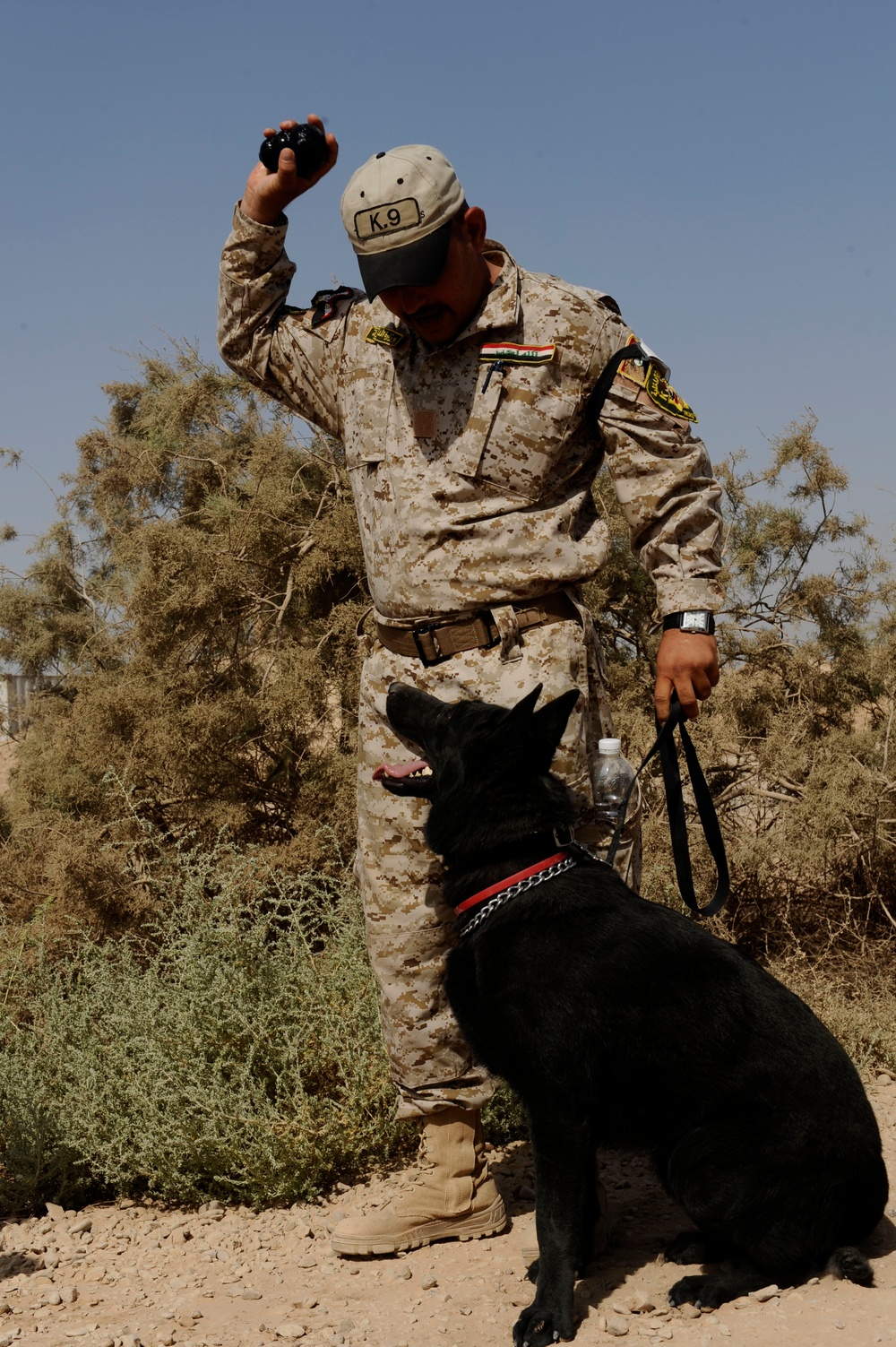 Joint K-9 Training