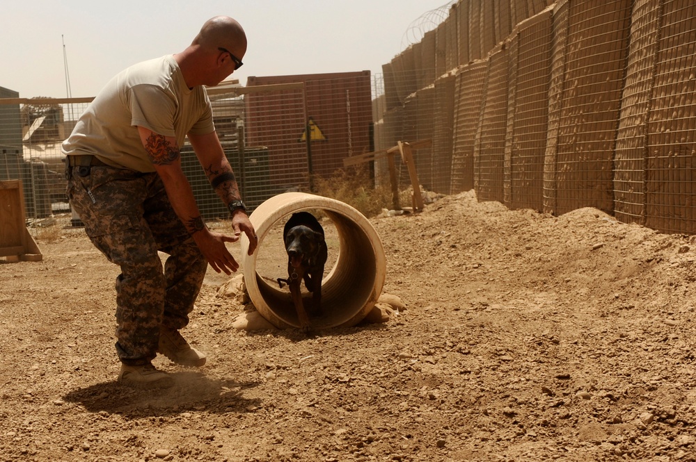 Joint K-9 Training