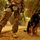 A military handler in US Army Universal Camouflage Pattern (UCP) combat uniform stands with a German Shepherd military working dog on a leash. The handler is holding what appears to be a dust mask, suggesting dusty or hazardous air conditions. The scene appears to be on a military installation in an arid environment, likely during a sandstorm given the orange-tinted atmospheric haze.