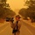 A female soldier in U.S. Army ACU (Army Combat Uniform) stands in the middle of a tree-lined road holding a Sony professional video camera during an intense sandstorm. The orange-hued atmosphere severely reduces visibility, giving the scene a surreal, monochromatic quality. A second uniformed individual with a tripod-mounted camera is visible in the background, suggesting a military public affairs or combat camera documentation mission.
