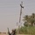 A U.S. Army soldier in full combat gear is kneeling behind a concrete barrier in what appears to be an Iraqi urban or semi-rural environment. The soldier is armed and equipped with a radio antenna, taking a covered position near a utility pole bearing an Arabic-language sign. Palm trees and dense vegetation are visible in the background under a hazy sky.