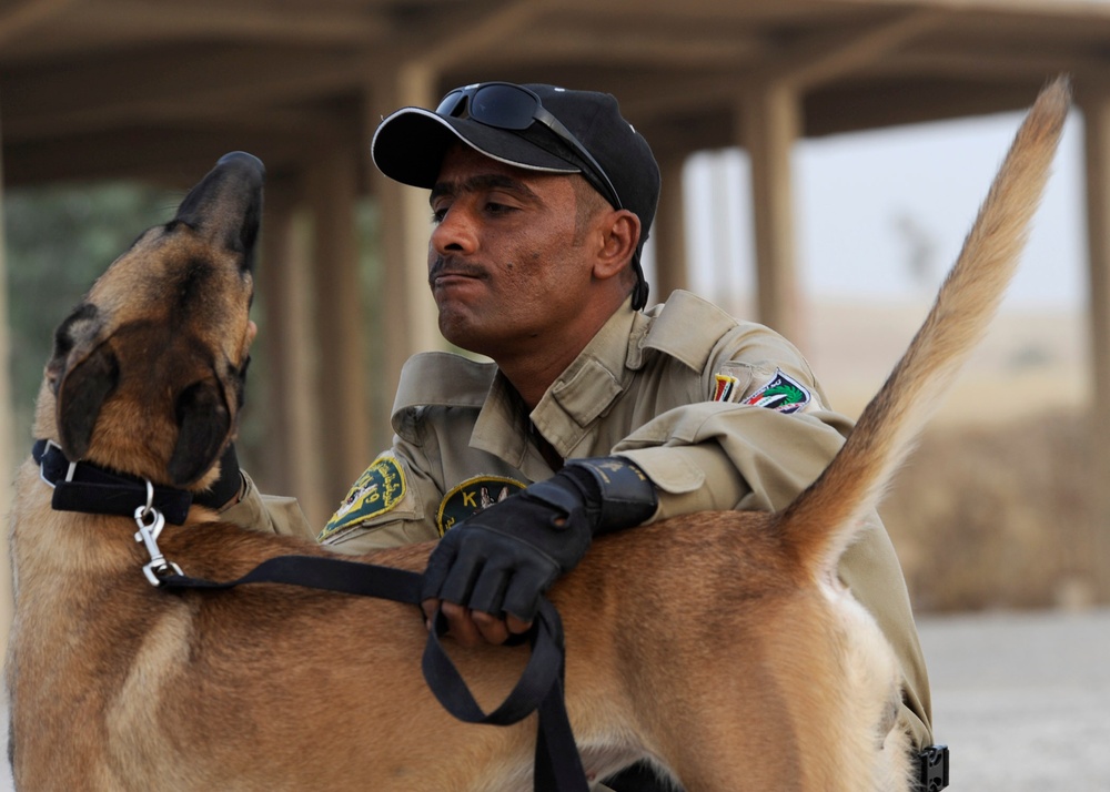 K9 Training