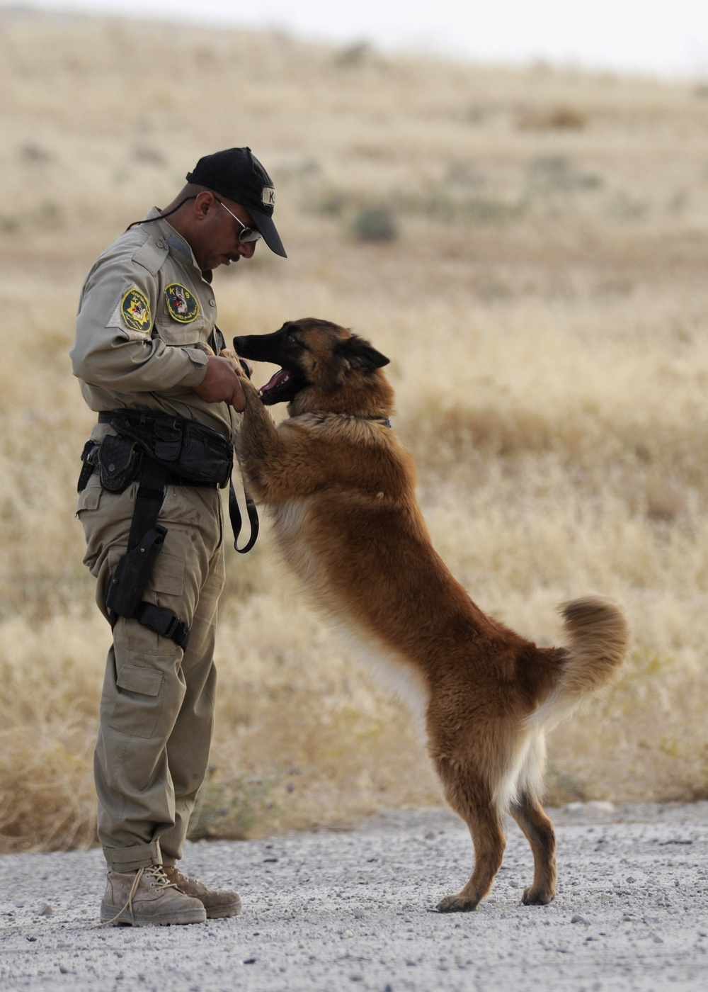 K9 Training