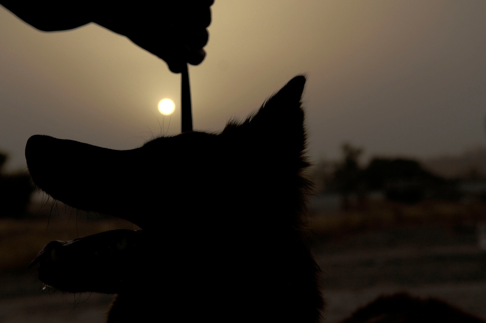 Iraqi Dog Handlers