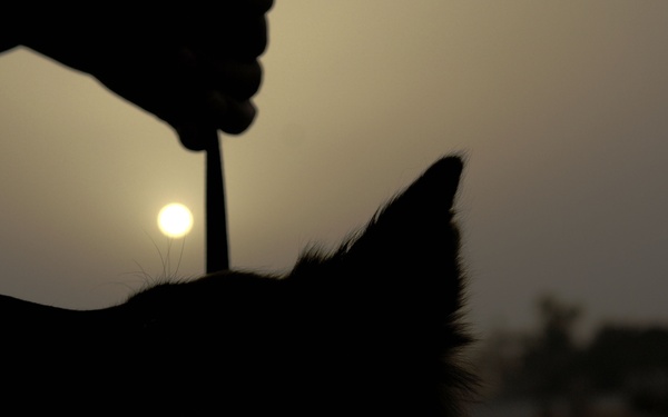 Iraqi Dog Handlers